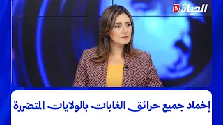 أستوديو الظهيرة - إخماد جميع حرائق الغابات بالولايات المتضررة