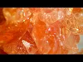 The Secret Superfood Unveiling the Power of Gum Arabic