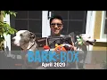 BarkBox Opening April 2020