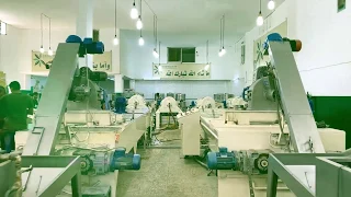 مراحل عصر الزيتون في معاصر الزيود الحديثة بالاردن Olive Oil Mill 