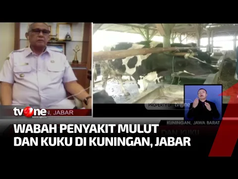 1.500 Ekor Sapi di Kuningan Terjangkit PMK