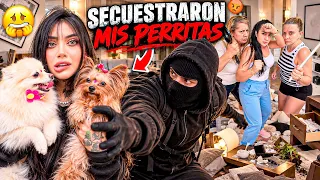 😭💔 S3CUE$TRAR0N MIS PERRITAS *broma a mi familia* | Sofi Muñoz 🤫