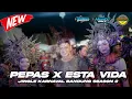 Download Lagu JINGLE BANDUNG CARNIVAL SEASON 3 - PEPAS X ESTA VIDA - FEAT DJ BONGO BAR BAR 