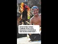 Download Lagu Fakta Penting tentang Fenomena Tajen di Bali: Budaya atau Penyimpangan yang Tak Bisa Dihapuskan ?