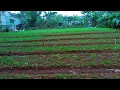 Bondan prakoso fade2black full album | Bondan waktu | Bondan rip| Bondan expresikan | bunga