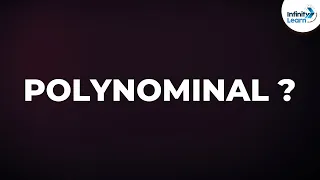 What is a Polynomial Algebra Don t Memorise