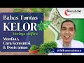 Download Lagu Manfaat Makan Sayur Kelor, Cara Konsumsi dan Dosis amannya untuk Kesehatan