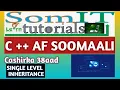 C AF SOMALI SINGLE LEVEL INHERITANCE