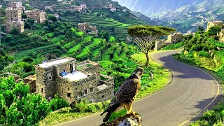 غريبة ليش ما تسال ياحبيبي - اقوى اغنية يمنية الفراق - علا مناظر الطبيعة رائعه حصرياء HD