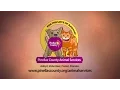 Animal Services Adopt - Volunteer