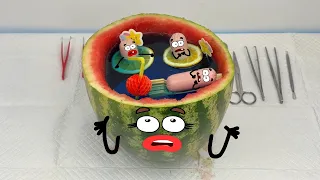 Cute Doodles in Real Life: Pure Comedy Animation
