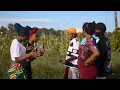 MU KHRISTU ~NZOTHEKA CHOIR 