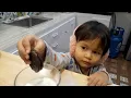 Download Lagu Iklan Oreo Afika ( Parodi Aisyah Aqila )