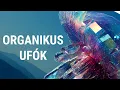 Download Lagu AMORF VALÓSÁG 🐙 Idegen formák, idegen világok