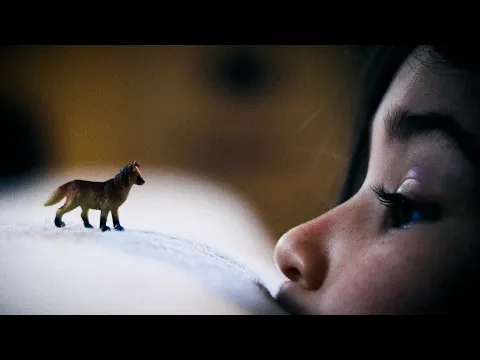 "When We Move" - Documentary Short Film (Official Trailer)