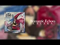 Romantic Echoes - Celaka (Lyric Video)