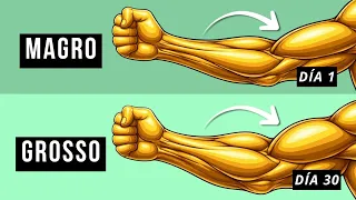 De antebraços normais a BRUTAIS com apenas 2 exercícios!