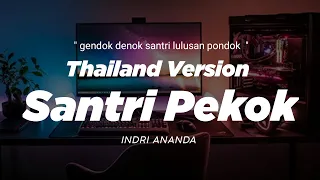 dj santri pekok thailand style x gedruk x slow bass 