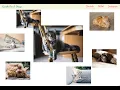 GSAP Animations Tutorials 01