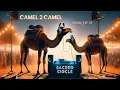 Download Lagu Camel 2 Camel  Spring Pop Ups { 11- 05 - 2024 } for Sacred Circle DXB
