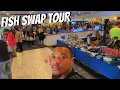 Thousands Of Amazing Fish Sold Here Quad City Fish Swap Tour