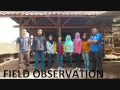 Opinion about Indonesian Beef Cattle Industry