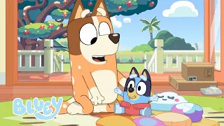its a baby race full episode season 2 bluey