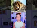 Animals With Down Syndrome