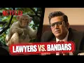 Download Lagu Monkeys ATTACK Lawyers 🤣 Ravi Kishan \u0026 Gang’s FUNNIEST Solution | Maamla Legal Hai | Netflix India