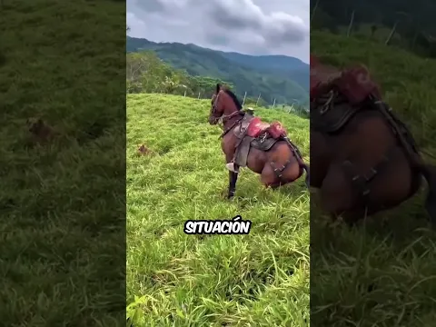 Increíble control  caballo domina la situación en terreno extremo