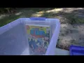 Hefty Hi-Rise 32-qt bins are perfect for Graded Comics