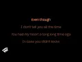 Brett Young - In Case You Didn't Know (Karaoke Version)