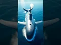 Download Lagu Whaleified Submarine #shorts #youtube #viral #music #remix #whalesubmarine #submarine #ai #funny