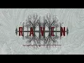 Anima Corvus - Raven