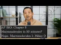 AP Biology Macromolecules 10 minutes No Way Review of Chapter 5 with Mikey