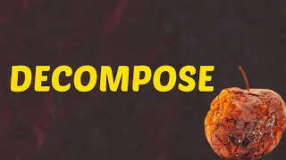 What Does DECOMPOSE Means Meanings And Definitions With Example in ENGLISH