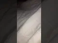 girl fart compilation 3