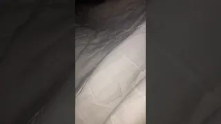 girl fart compilation 3 