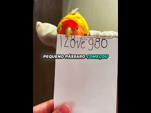 Essa ave revelou uma mensagem secreta ❤️