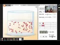 Gizmo Le Chatelier s Principle