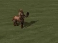 Centaur Animations