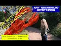 Boyce Thompson Arboretum - Things to Do in Arizona