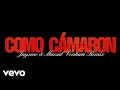 Download Lagu Estopa, Jayxme, Marsal Ventura - Como Camarón (Jayxme \u0026 Marsal Ventura Remix - Lyric Video)
