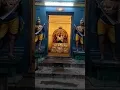 Download Lagu Mayiladuthurai vadhaanyeswarar Temple Murugar Valli Deivaanai Arul Muthai tharu Murugar song🙏🙏🙏🙏🙏🙏🙏🙏