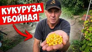 Как приготовить кукурузу 🔥, чтобы рыба не устояла?