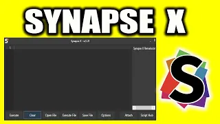 How To Join The Offical Synapse X Discord Server 2023 WORKING