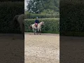 Download Lagu Riding free!! #music #horse #disney #equestrianjourney #miniaturehorse #equestrian #ponymalta