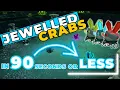 JEWELLED CRABS - In 90 Seconds or Less