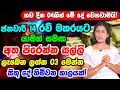 Sun Transit to Capricorn Predictions For 2023 2023 January Year Horoscope Saturn Transit in 2023