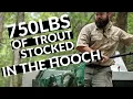 Watch 750lbs of Trout Being Stocked in the Chattahoochee River